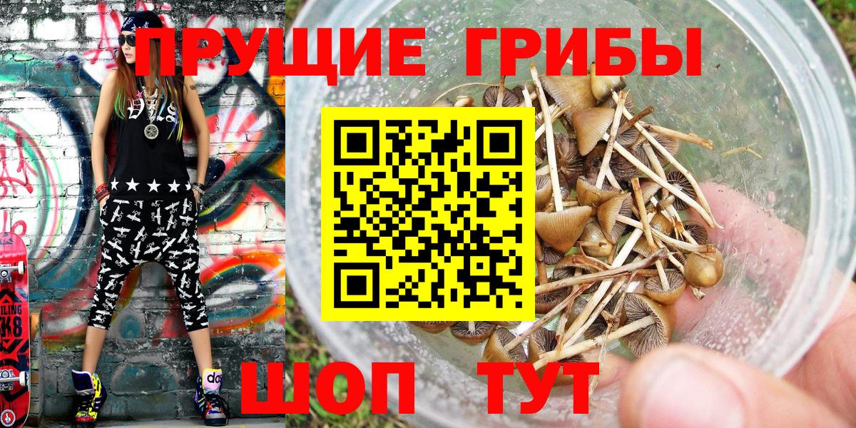 Меф Лосино-Петровский